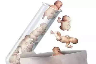 关于丹韵生殖